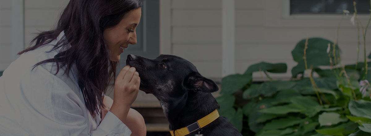 behavior-training-woman-feeds-dog-fill