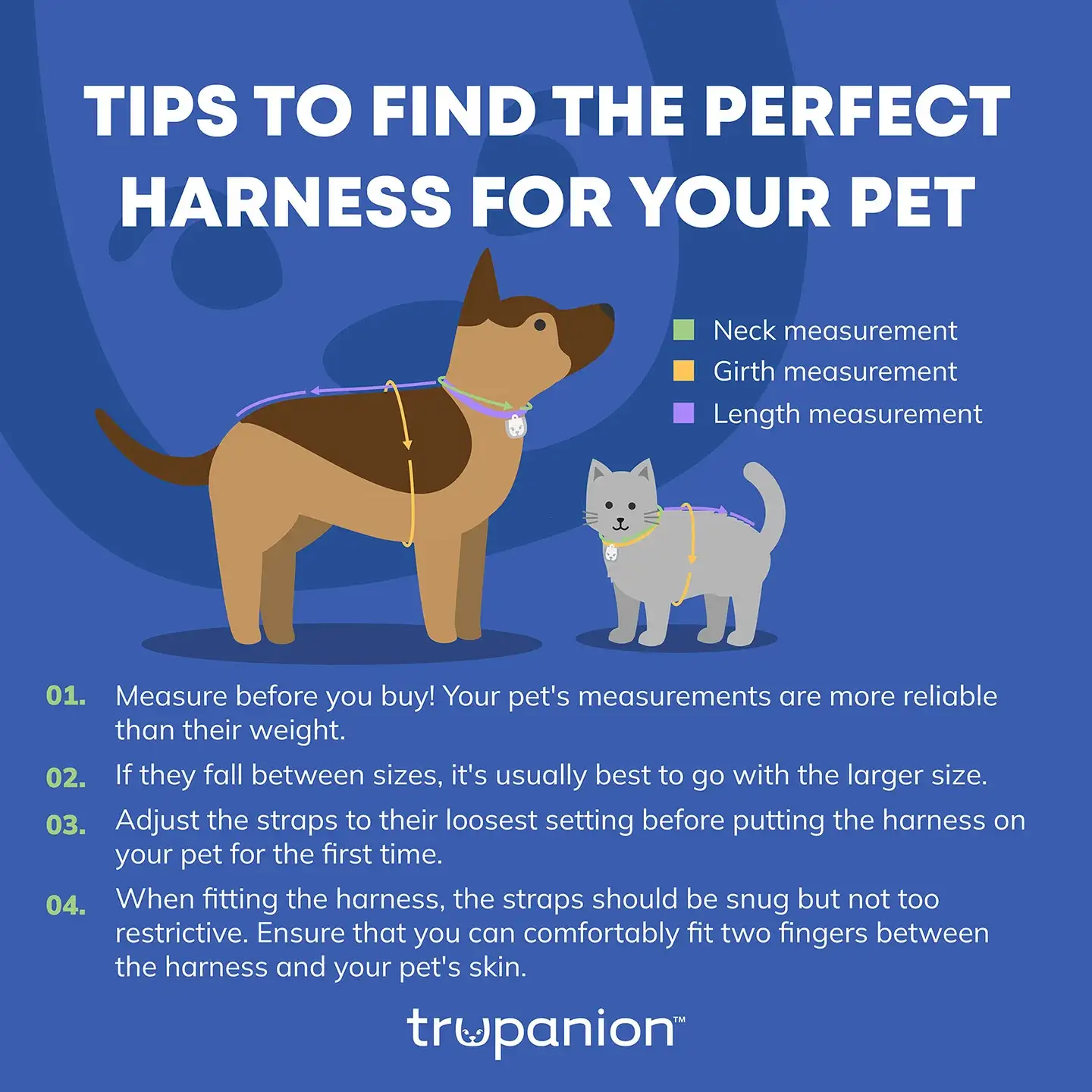Trupanion chart showing four steps to choosing the right pet harness.