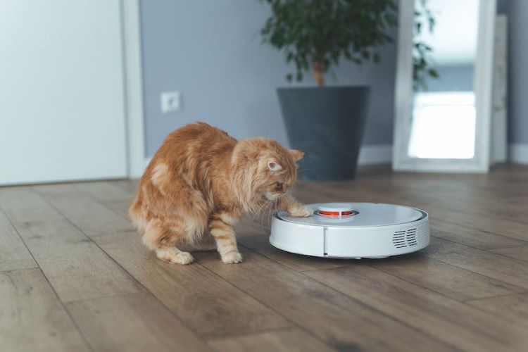 A ginger cat paws at a white floor vacuum.