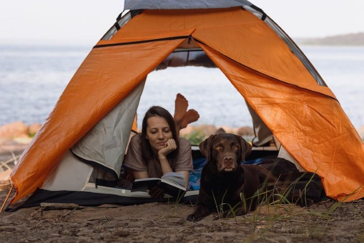 girl-in-tent-with-dog