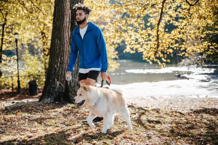 A man in a blue jacket hiking in autumn with a dog