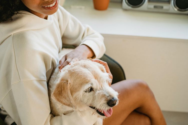 A female pet owner in a white hoodie holding and hugging her pet dog after learning how to treat fall allergies in dogs.