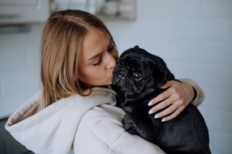 woman-holding-black-pug
