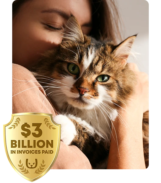 Woman snuggling a fluffy cat