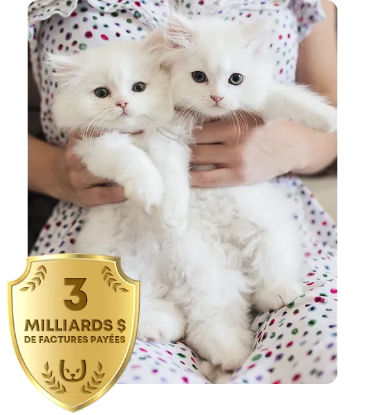 2 chatons blancs tenus dans les bras de Somoene