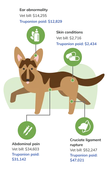 Price Factor Infographic Mobile