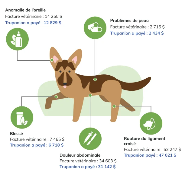 Price Factor Infographic Desktop