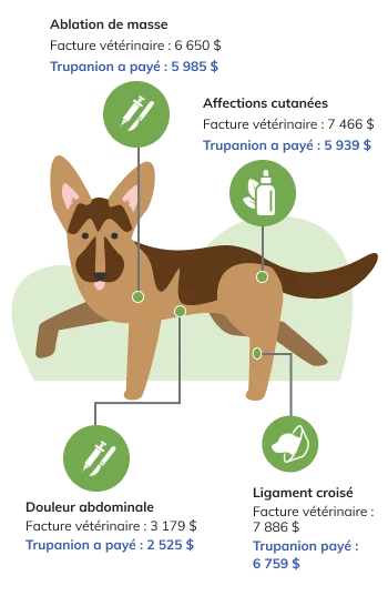 Price Factor Infographic Mobile