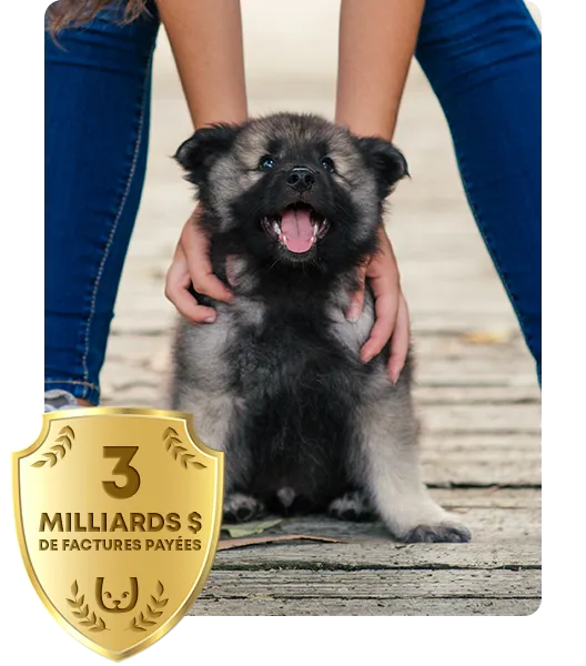 Une femme tapote un chiot, avec le badge de 2 milliards de dollars dans le coin