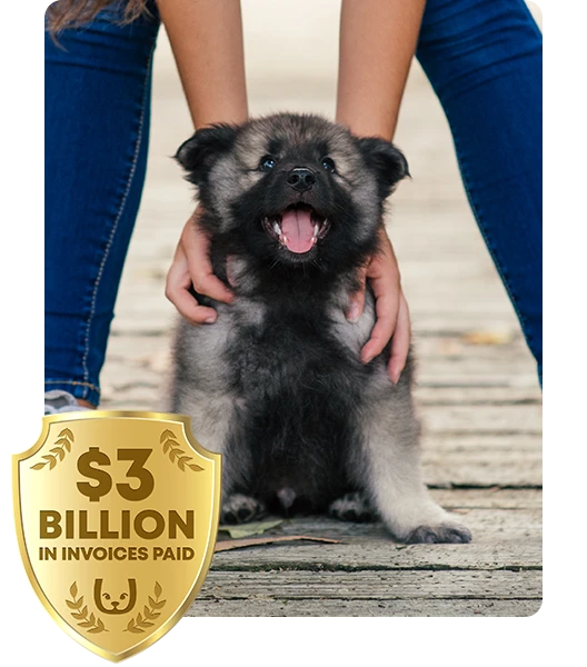 Two hands pat a puppy, with a $2 billion badge in the corner