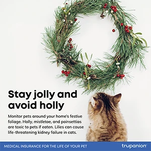 Stay jolly and avoid holly