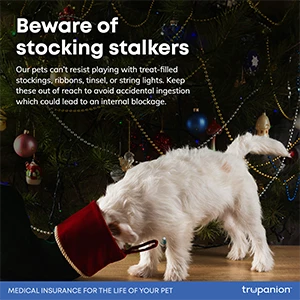 Beware of stocking stalkers