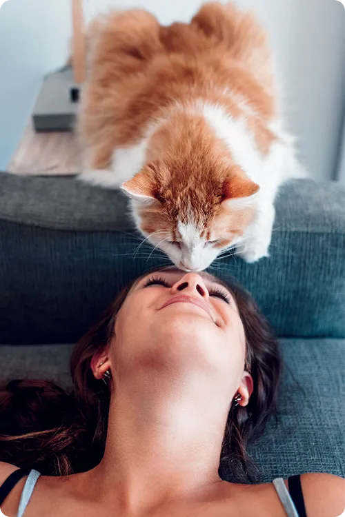 cat above couch sniffing lady's nose who is laying her head back