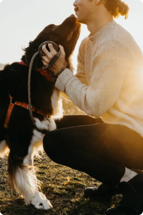 dog sniffing man's chin behind sunrise