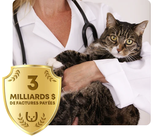 Un vétérinaire tenant un chat avec le badge 3 milliards dans le coin