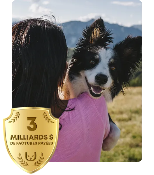 owner patting dalmation at a hike