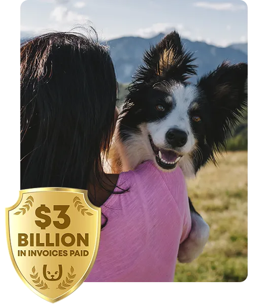 owner patting dalmatian at a hike