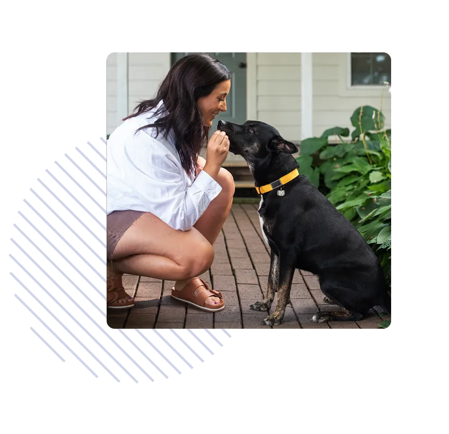 A woman kneels down to smile in her dogs face