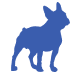 Boston Terrier icon