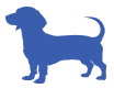 Dachsund icon