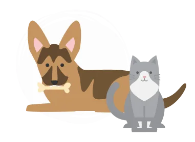 A dog with a bone in its mouth and a cat