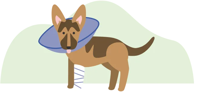 An illustration of a dog with a cone around its neck and a cast on its leg