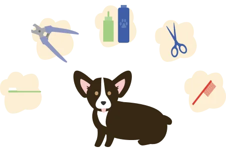 Illustration of a dog with grooming materials floating around its head