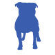 English Bulldog icon
