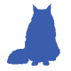 Himalayan Cat icon