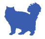 Persian Cat icon