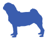 Pug icon
