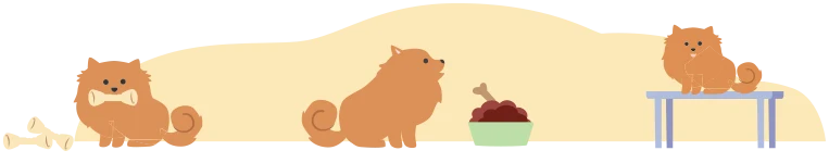 Three illustrations of dogs doing things