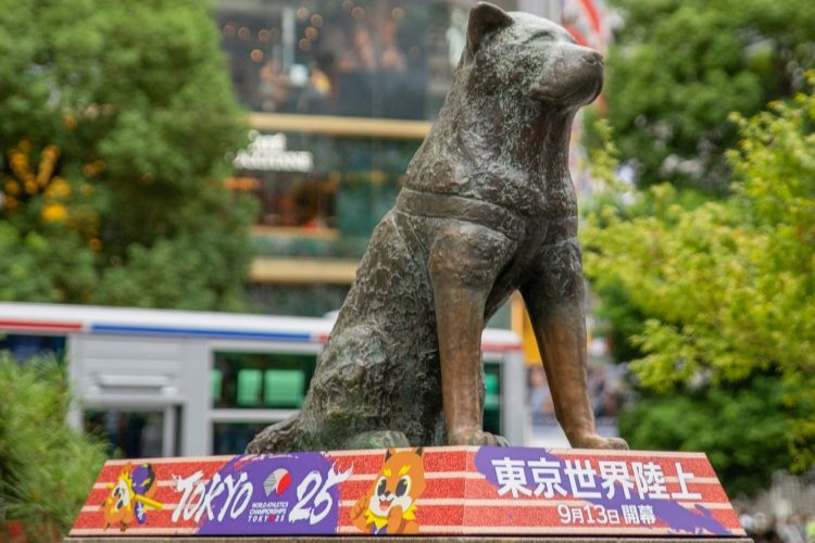Akita Hachiko statue in Tokyo