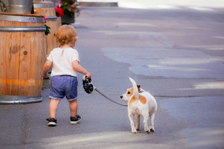 Best Dog Breeds for Kids