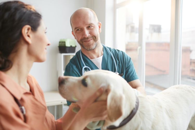 Reimbursement vs. VetDirect Pay™: What Pet Parents Should Know