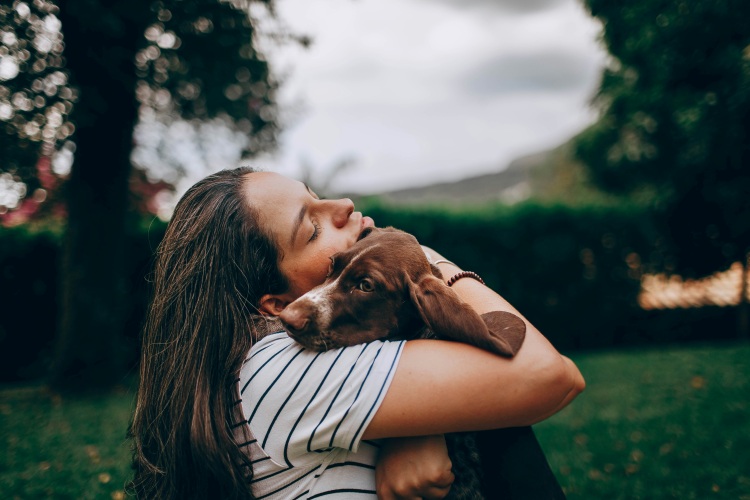 How do you know if your dog or cat should see a veterinarian?