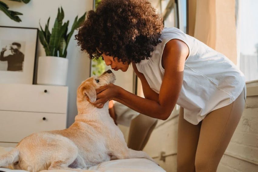 A female pet owner leans down to give a beige dog a kiss of affection.