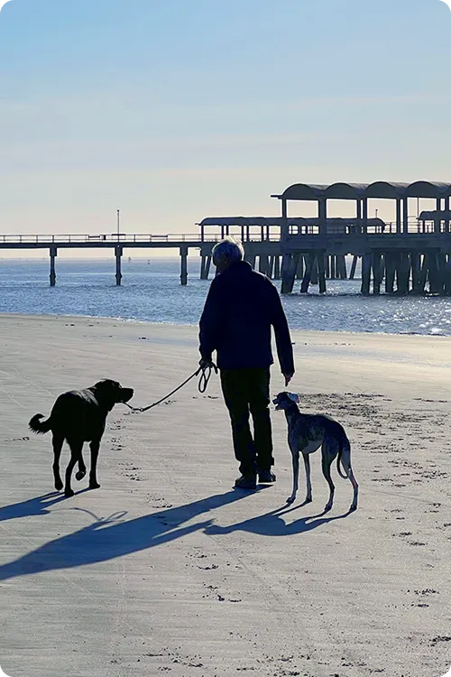 Owner and his two dogs walk on the beach